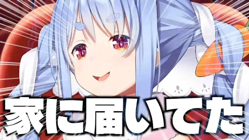 気づいたら家に届いていた