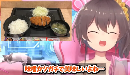夏色まつり、味噌カツ愛が止まらない→“ひたひた派”か“サクサク派”で議論勃発　「食べたくなってきた」