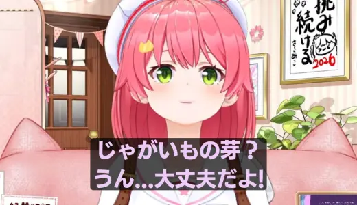 みこち、星街家でカレー作り→“みこ流”すぎる工程に総ツッコミ　「料理警察とプロレスしてて草」